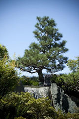 Outdoor garden with trees and blue sky