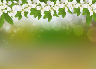 Spring green background. Spring flowers. Vector background