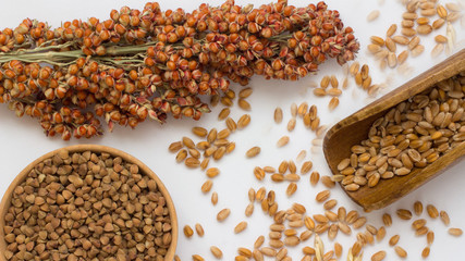 Wheat in wooden spoon, branch sorgo and buckwheat on white background