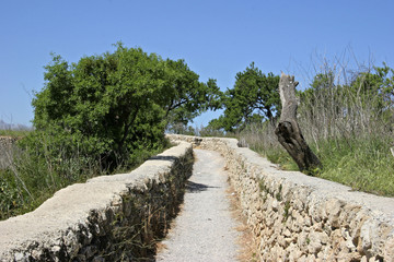 Fototapeta na wymiar Way through the landscape near Alcudia, Mallorca, Balearic Islands, Spain, Europe