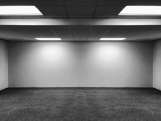 Perspective view of Empty Space Classic Office Room with Row Ceiling LED Light Lamps and Lights Shade on Wall for Gallery Interior / Template to Mock Up Display Office Furniture