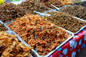 Fried insects street food in Thailand This is fried insect food is high in protein. And delicious, especially bamboo worms, which are expensive