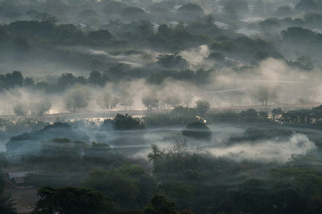 Road In The Fog forest during sunrise