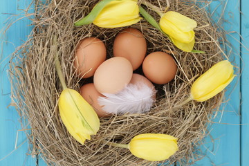 natural nest with chicken eggs