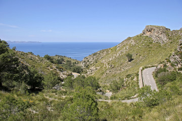 Fototapeta na wymiar Country road in Landscape at Arta, Mallorca, Balearic Islands, Spain, Europe