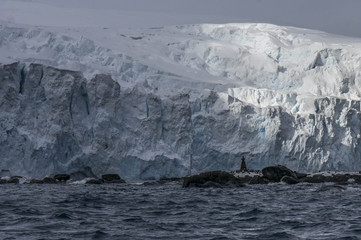 Fototapeta na wymiar Glacier calving at Elephant Island and bust of Chilean Captain who rescued Shackleton's men