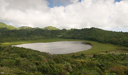 Grenada island - Grand Etang National Park - Grand Etang Lake and crater - obrazy, fototapety, plakaty