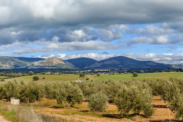 landscape in province of Albacete, Spain