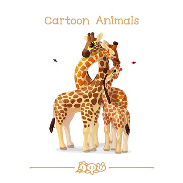 Toons series cartoon animals: giraffes family portrait parents & baby