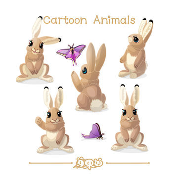 Toons series cartoon animals: forest rabbits set