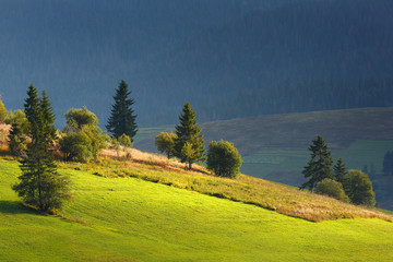 Green mountain hills in bright sunlight