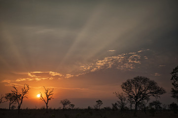Sun's rays at sunset on the low veld of South Africa