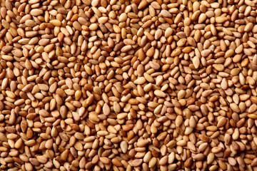Sesame seeds texture macro detail