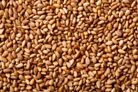 Sesame seeds texture macro detail
