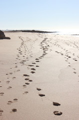 Gezeiten in Albufeira