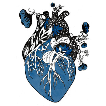 Blooming anatomical human heart. Ink hand drawn illustration of heart in vintage style. Design for your tattoo, logo or other.