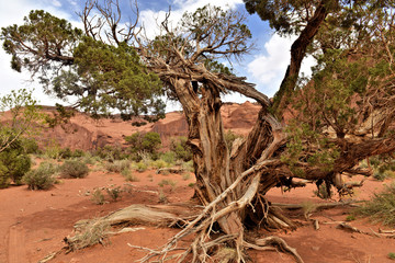 Monument valley