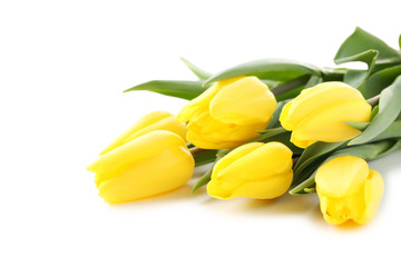 Obraz premium Bouquet of yellow tulips isolated on a white