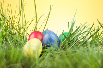 Easter colored eggs in the grass