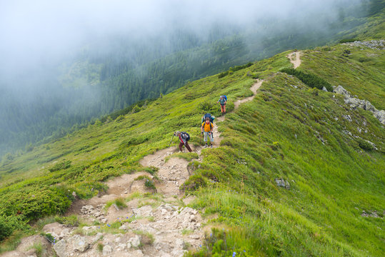 Travelers - men and boy with backpacks rise along the ridge