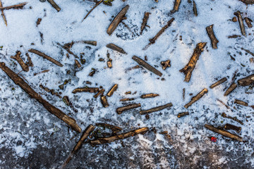 Wooden sticks froze into the snow. The first snow on the frozen ground. Winter background