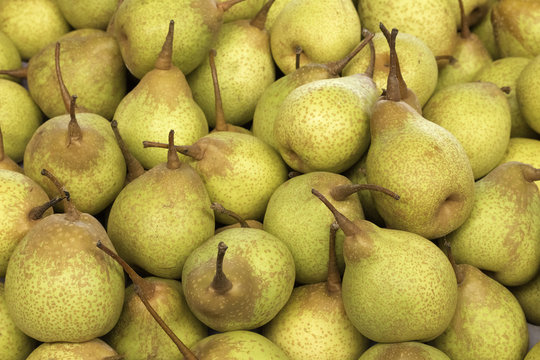 Peras portuguesas frescas