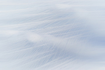 Fototapeta premium Peacock wings background