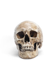 Front view of human skull isolated on white background