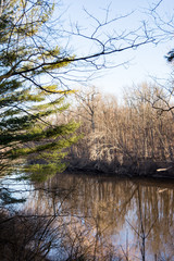 Obraz premium River morning