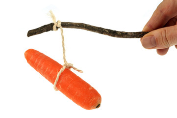 La carotte et le bâton 