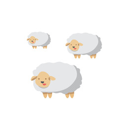 Farm Country Sheep