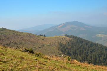 Fototapeta premium Forest road, Alava, Basque Country