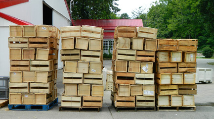  Wooden Produce Crates  Stacked High on Pallets