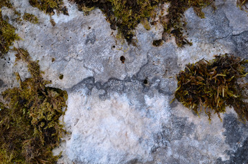 Natural stone texture macro photography