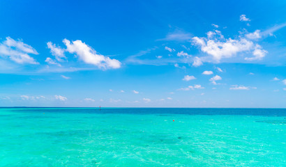 Fototapeta premium Beautiful tropical Maldives island with white sandy beach and sea .