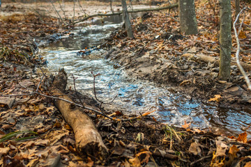 Meltwater Stream #2