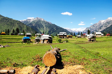 Wooden houses in the valley and landscape