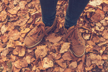 Person wearing pants and brown lace up shoes