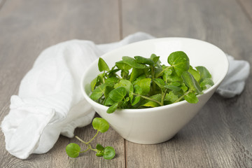 Watercress