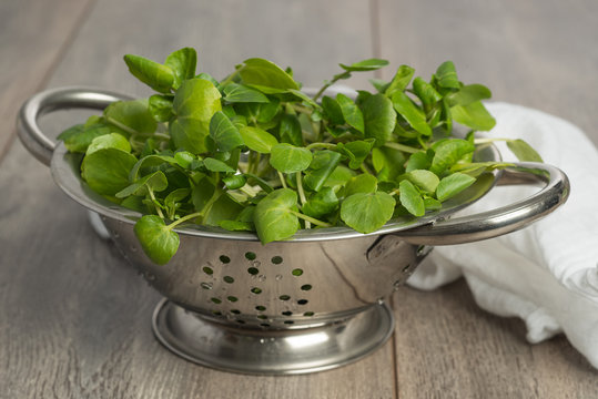 Colander filled with fresh watercress salad on wooden table