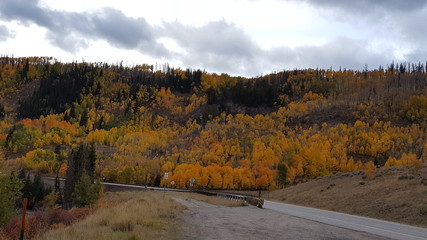 Changing of Colors in Colorado