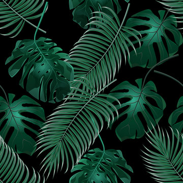 Green tropical palm leaves and monstera. Jungle thickets. Seamless floral pattern. Isolated on a black background. illustration