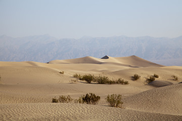 Fototapeta na wymiar The Death Valley desert in California