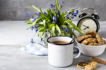 Cocoa mug cookie breakfast  morning flowers spring
