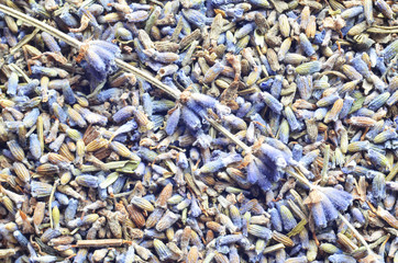 dry natural lavender