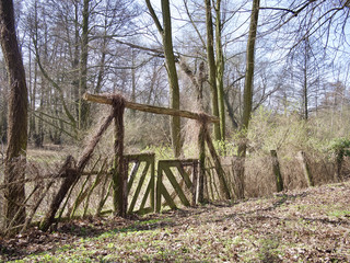 Rustic handmade wooden gate leading to woodland