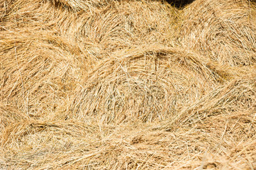 Storage with piles of stacks of hay