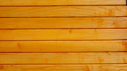 Obraz premium Orange wooden fence with ash tree. The texture of wood background