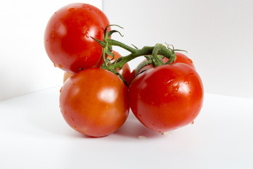 Tomatoes on the vine on white background