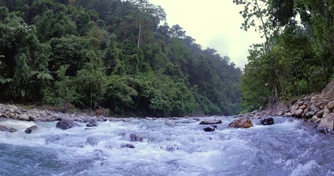 Mountain river flows through wild forest of Gunung Leuser Sumatra national park